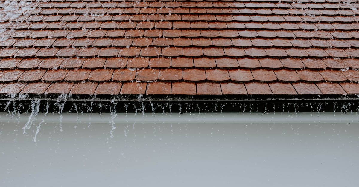 How much is the average roof replacement in Lakeland, Florida?